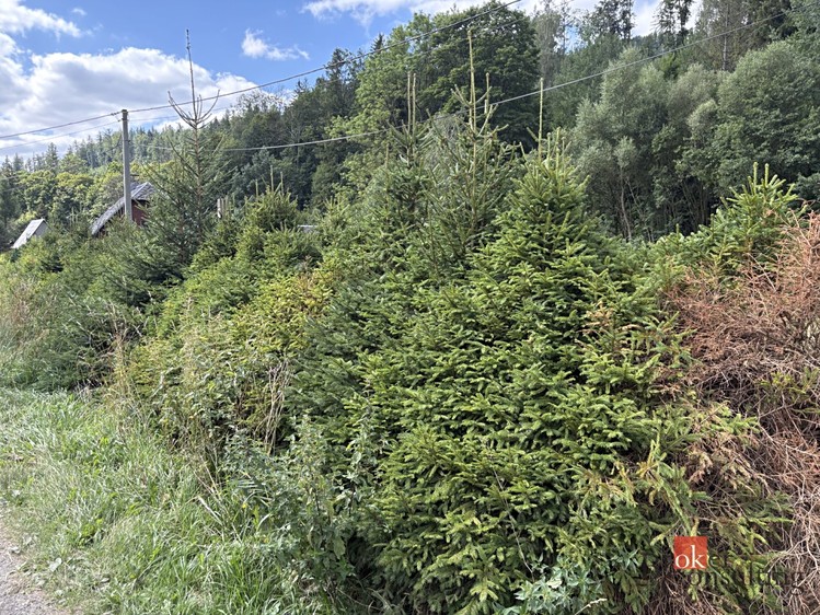 Grundstück zum Kauf, 1.099 m² (5 von 10)
