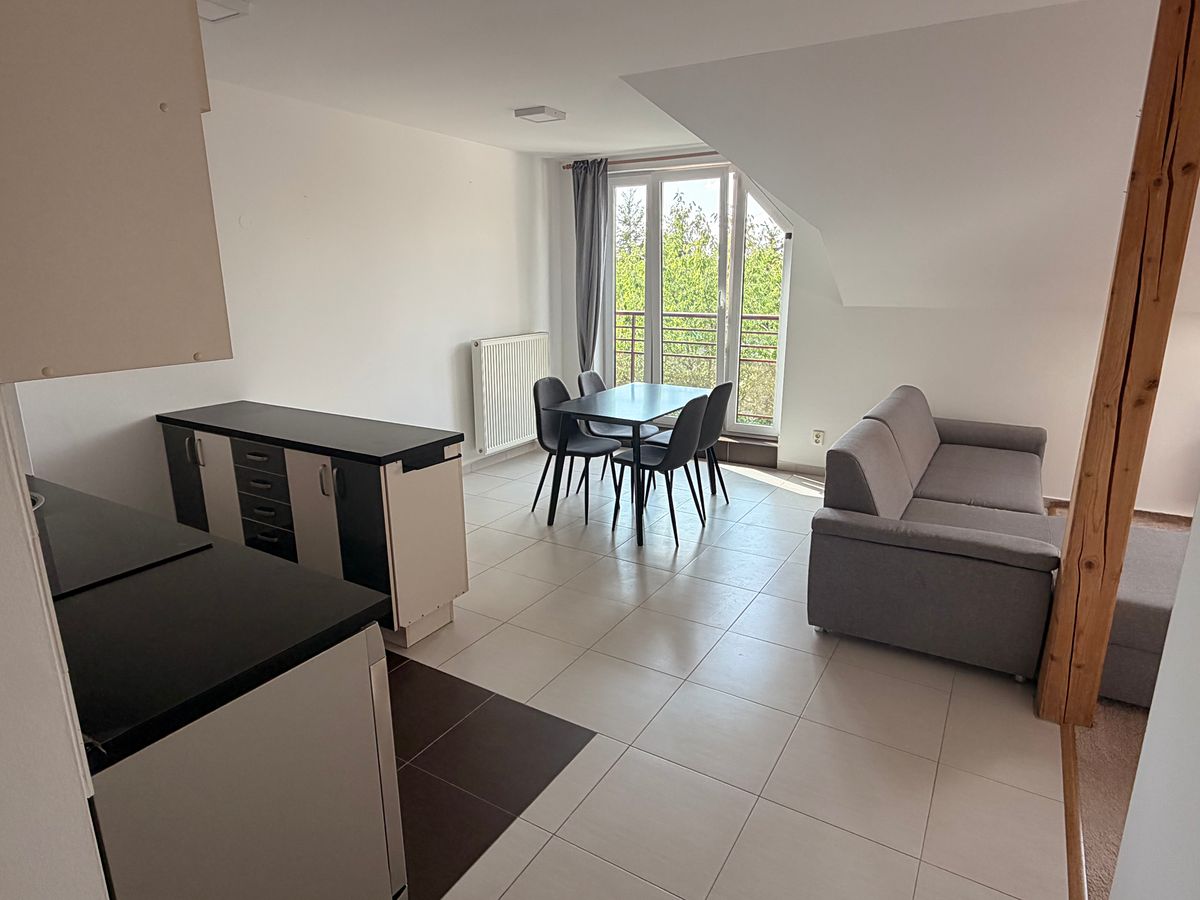 Pronájem bytu 3+kk 65 m² – fotografie 4