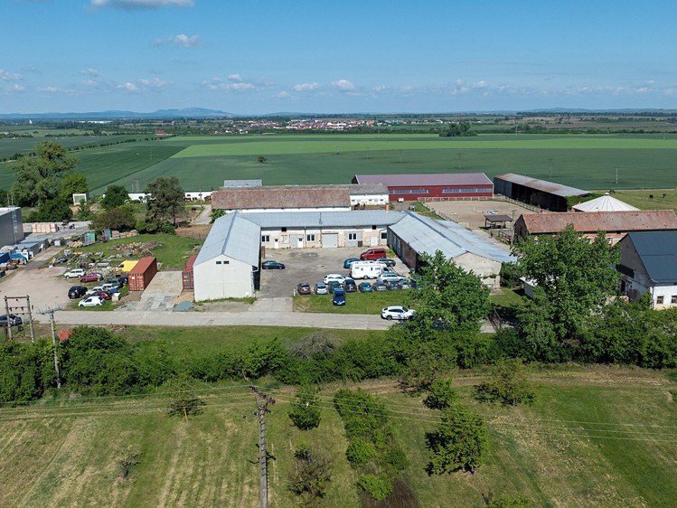 Комерційне приміщення в оренду, 115 м² (10 з 16)