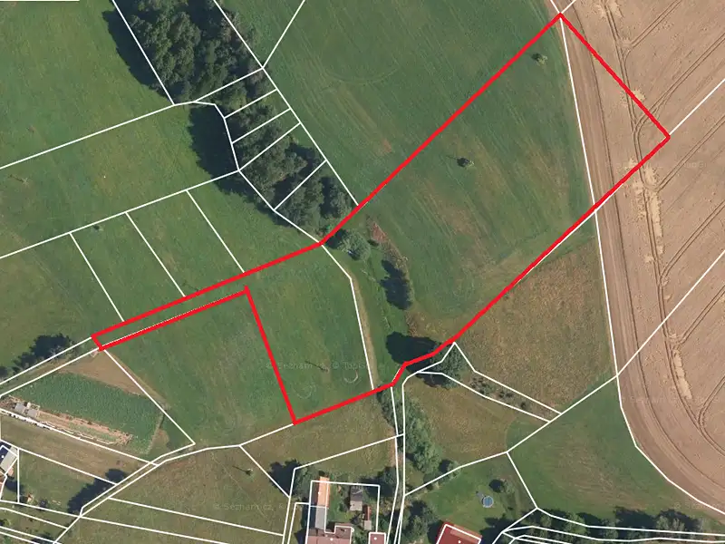 Prodej louky 16773 m², Nová Ves nad Popelkou – náhled fotky 1