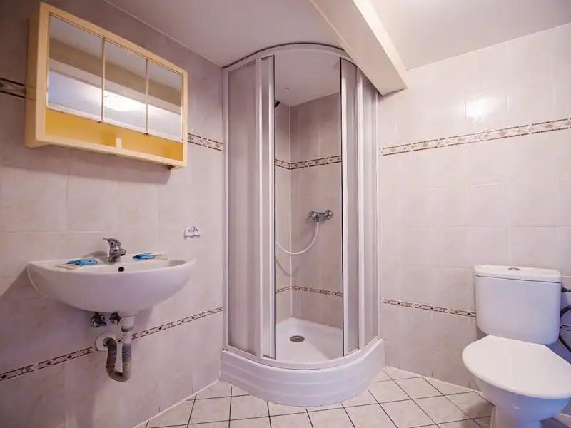 Pronájem ubytovacího zařízení 36 m², Brandov – náhled fotky 3
