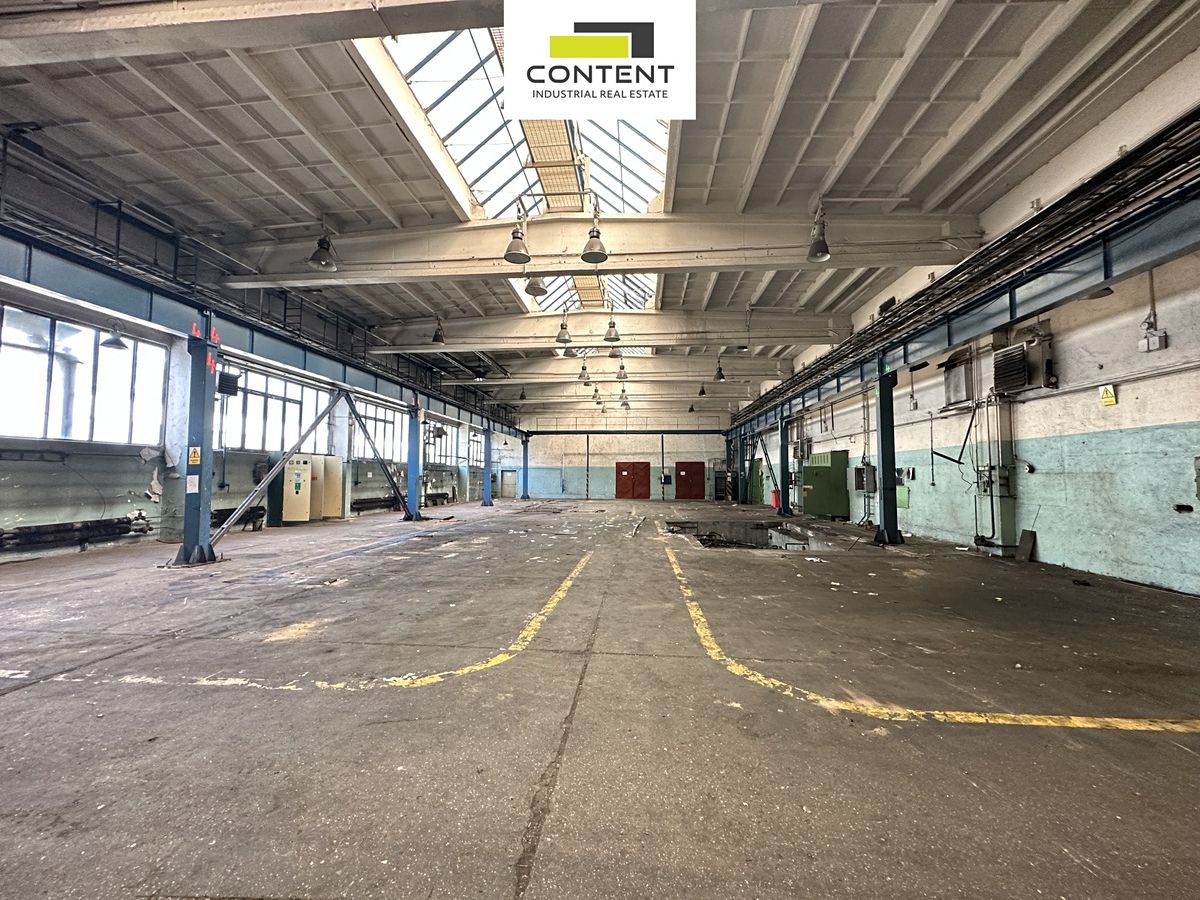 Pronájem výrobní haly, prostoru 9000 m² – fotografie 4