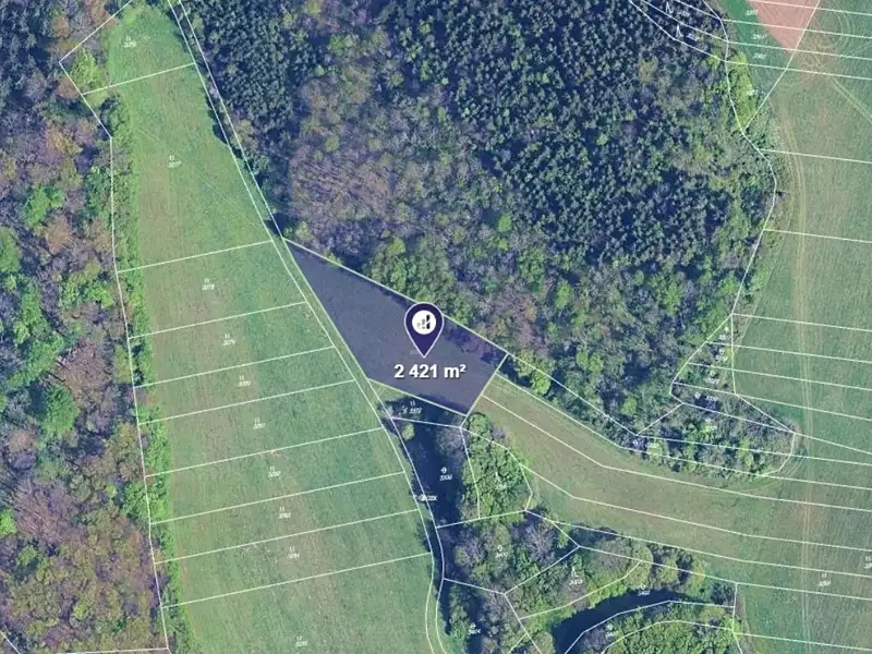 Prodej louky 6676 m², Ostrov u Macochy – náhled fotky 2