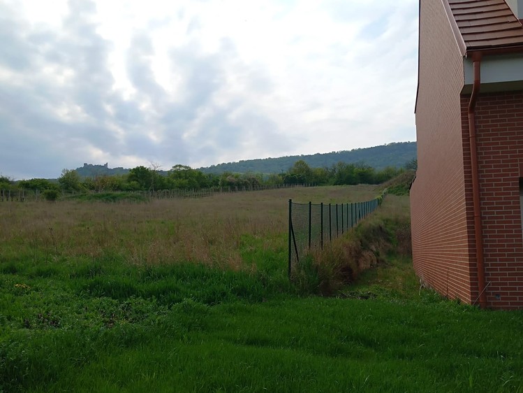 Ostatní