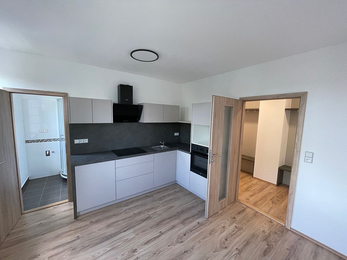 Pronájem bytu 2+1 60 m²