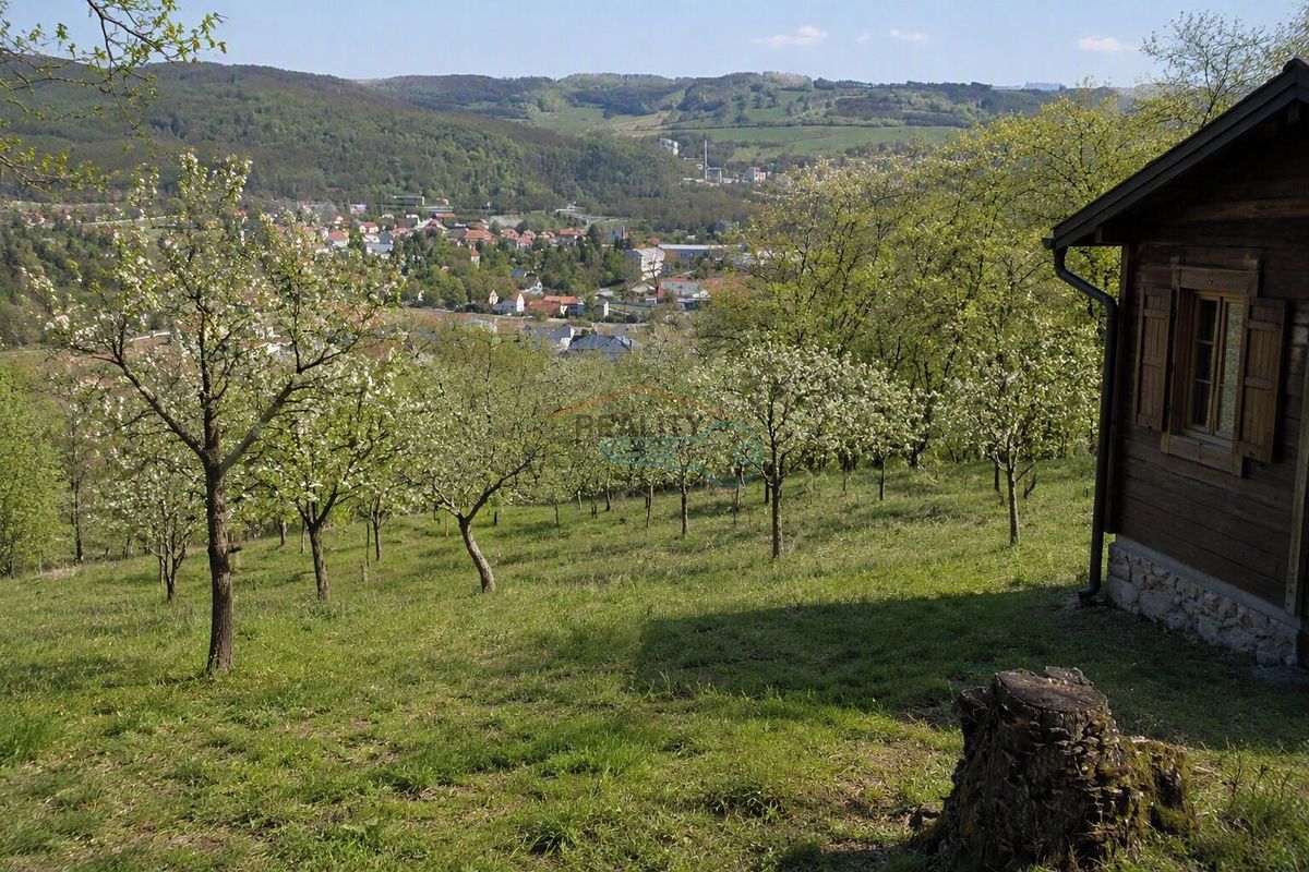 Prodej pozemku 8255 m² – fotografie 2