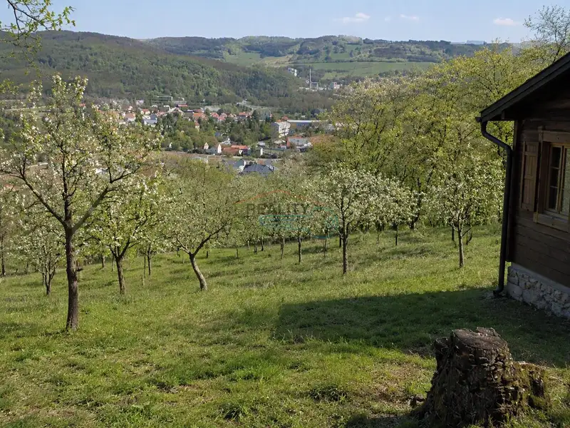 Prodej pozemku 8255 m², Vráž – náhled fotky 2