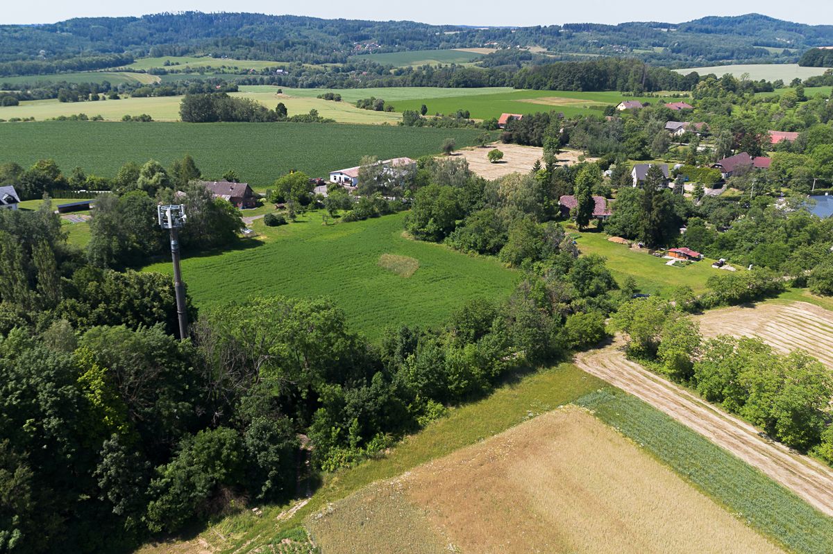 Prodej stavebního pozemku 9115 m² – fotografie 3