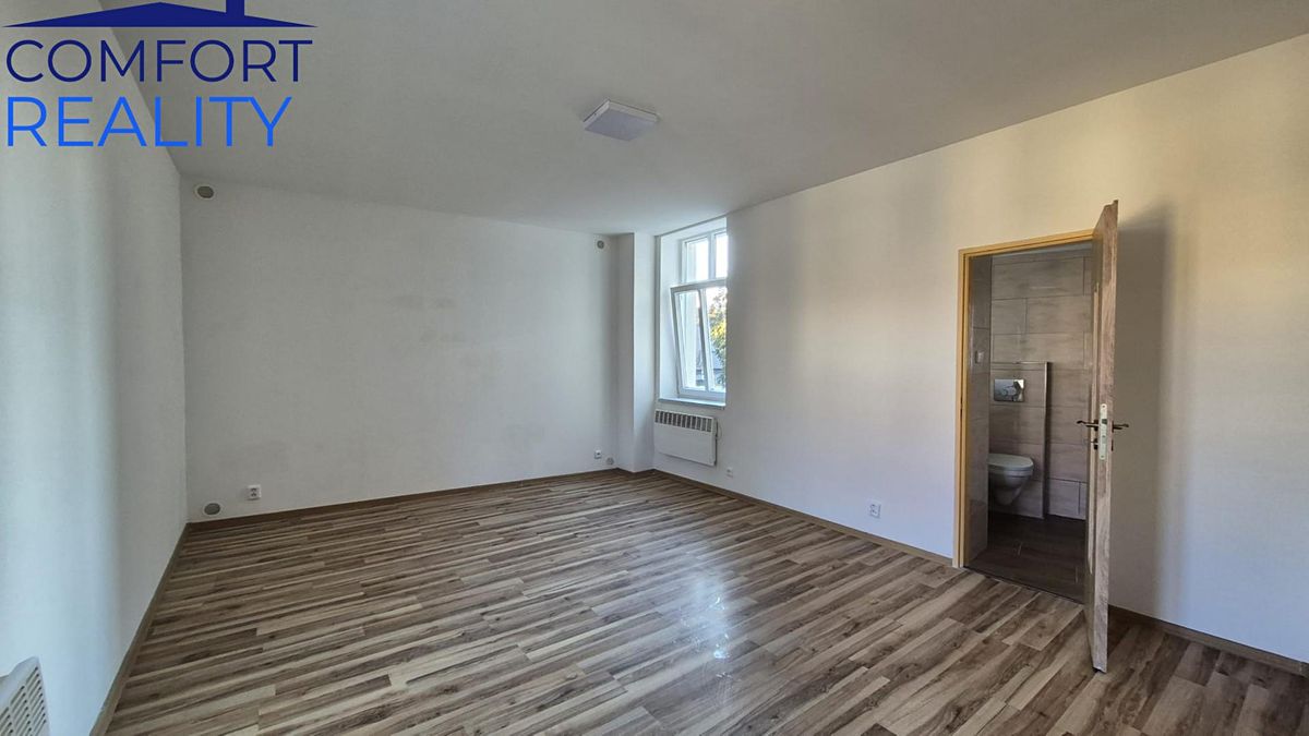 Pronájem bytu 1+1 45 m² – fotografie 3
