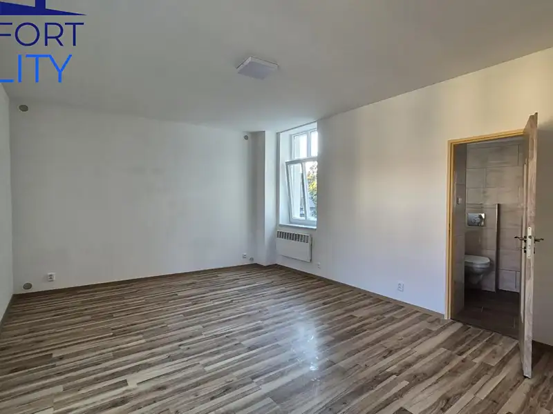 Pronájem bytu 1+1 45 m², Odry – náhled fotky 3