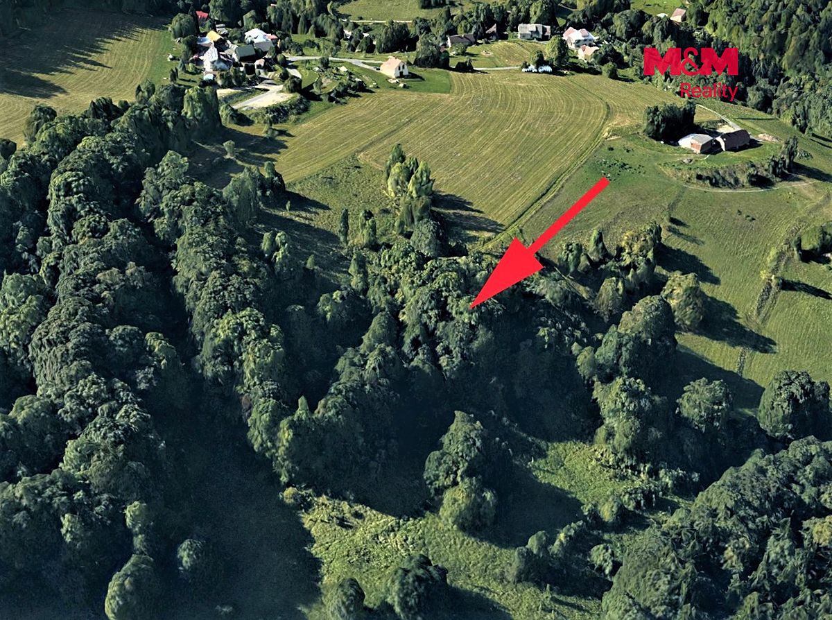 Prodej louky 6562 m² – fotografie 3