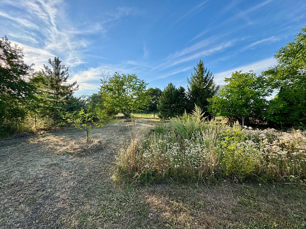 Prodej stavebního pozemku 1466 m² – fotografie 3
