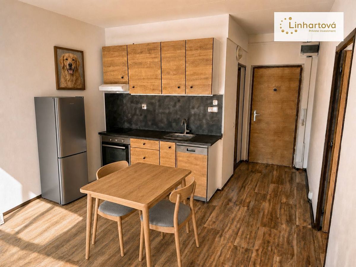 Pronájem bytu 1+1 43 m²