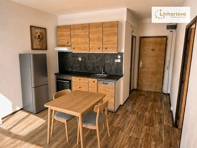 Pronájem bytu 1+1 43 m², Aš – náhled fotky 1