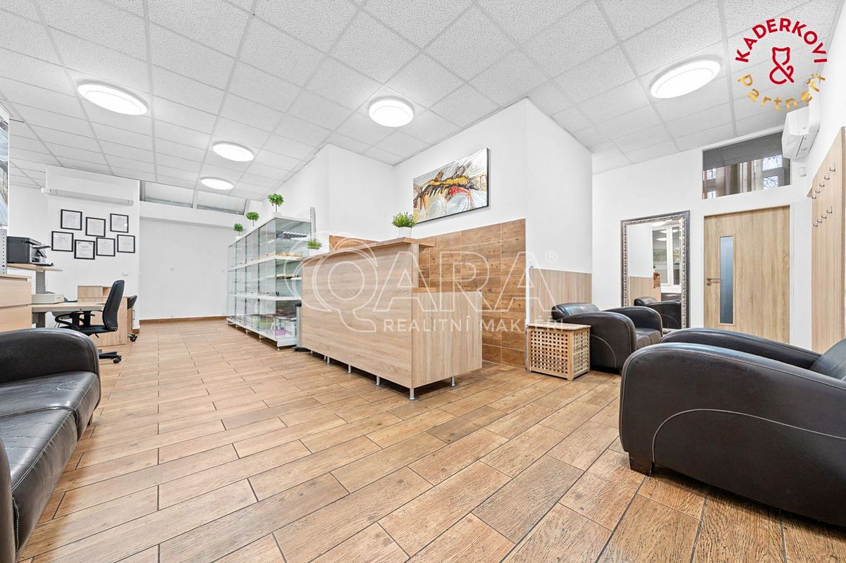 Prodej obchodního prostoru 326 m² – fotografie 3