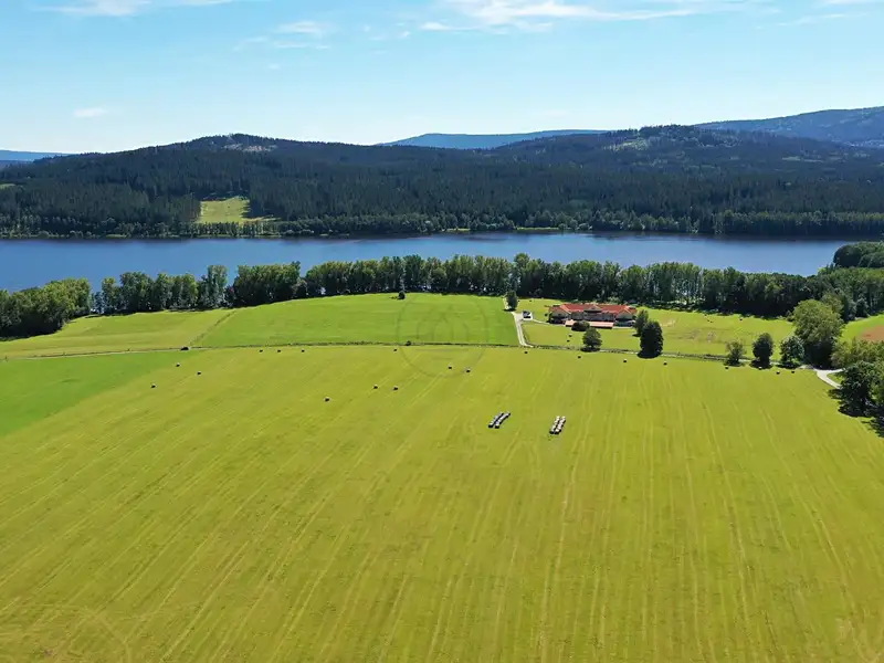 Prodej pole 92549 m², Horní Planá – náhled fotky 2