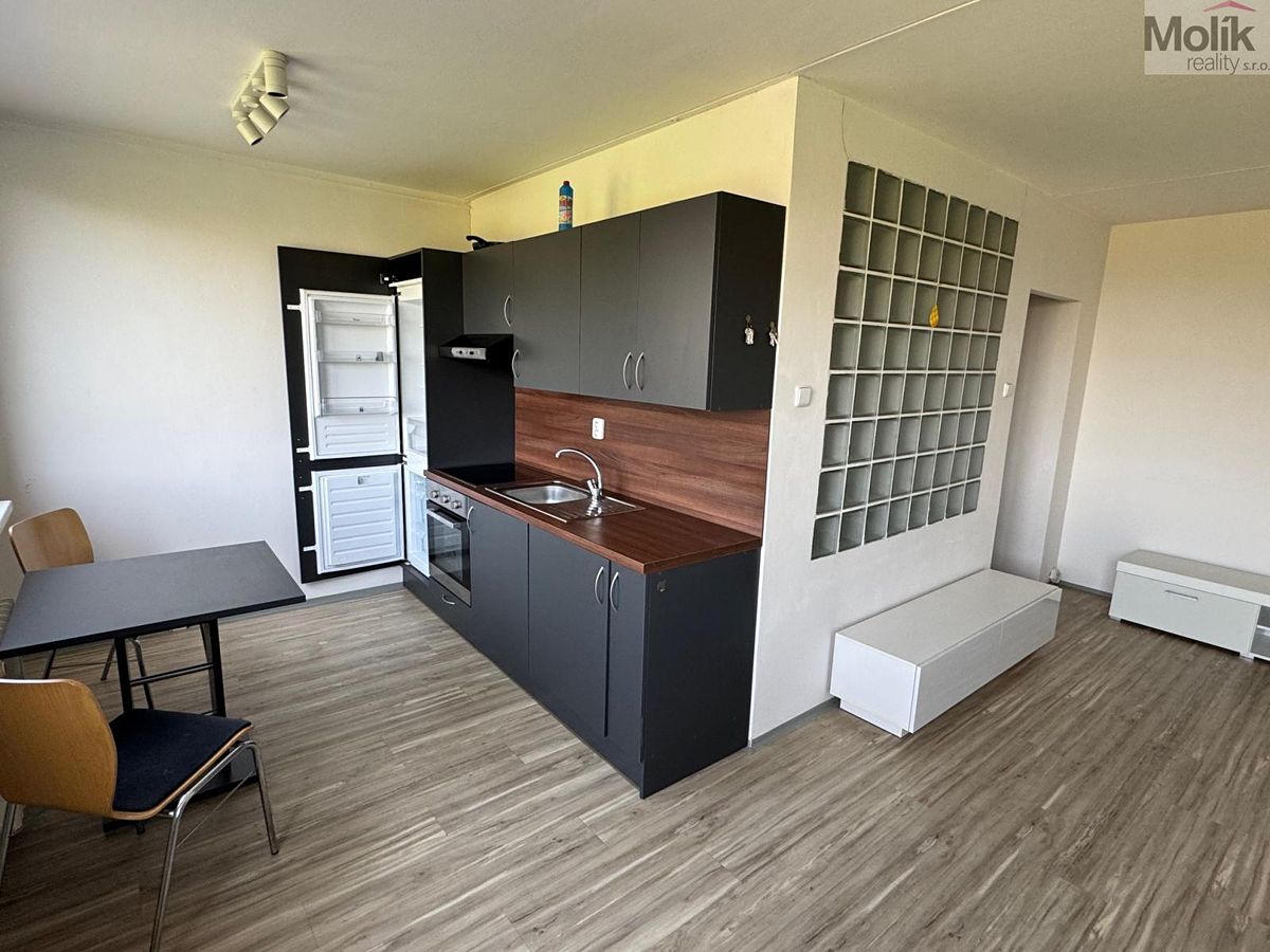 Pronájem bytu 1+1 35 m²