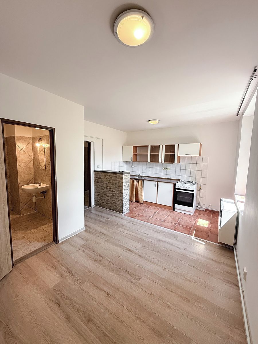 Pronájem bytu 1+kk 52 m²