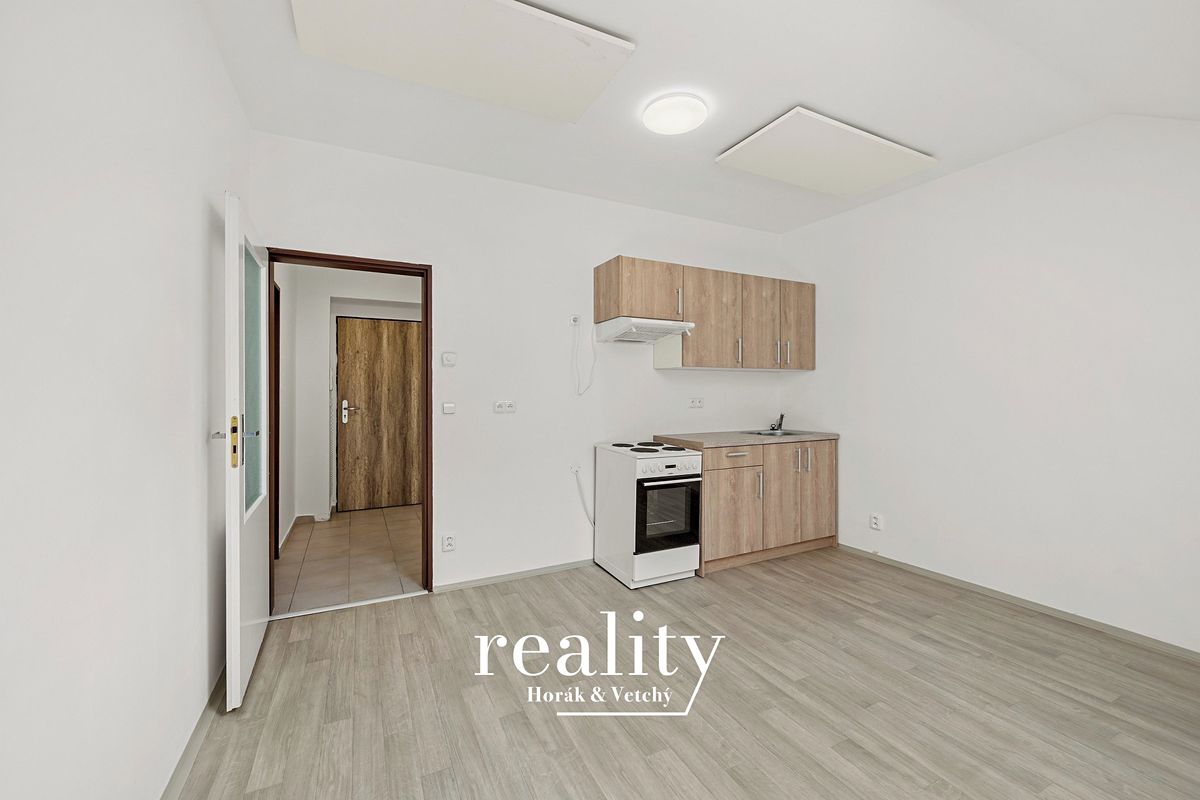 Pronájem bytu 2+kk 46 m² – fotografie 4