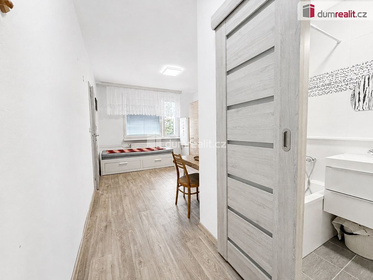 Pronájem bytu 1+1 34 m² – fotografie 3