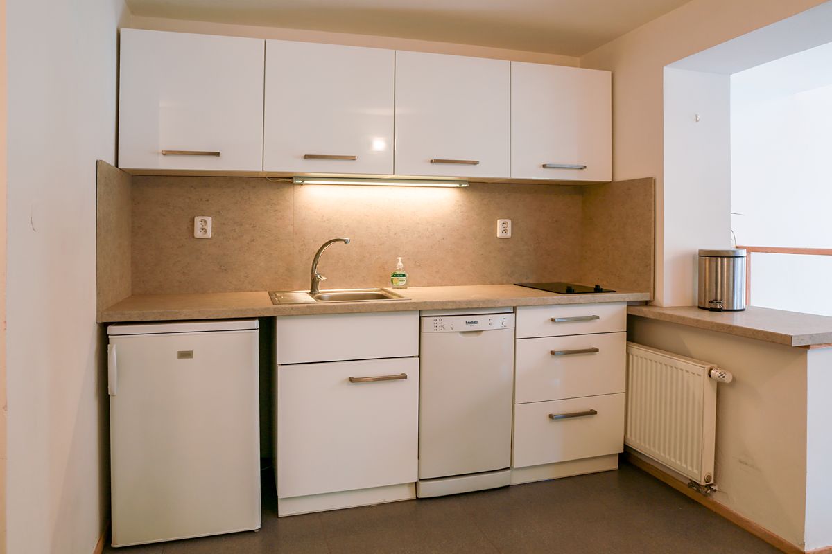 Pronájem vily 237 m², pozemek 1350 m² – fotografie 4