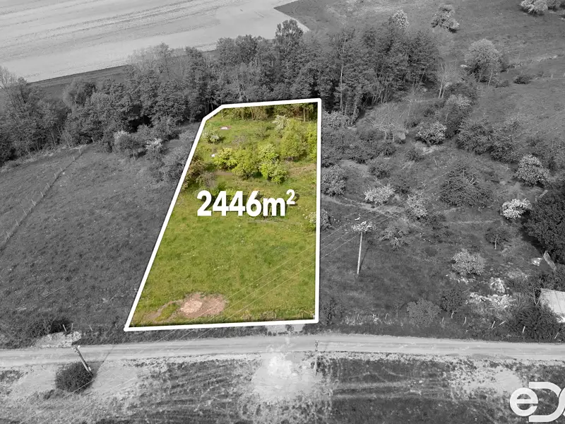 Prodej stavebního pozemku 2538 m², Pěnčín – náhled fotky 3
