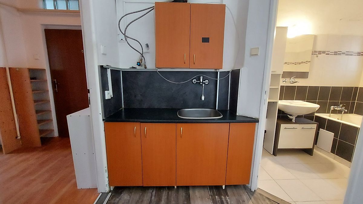 Pronájem bytu 1+1 45 m² – fotografie 5