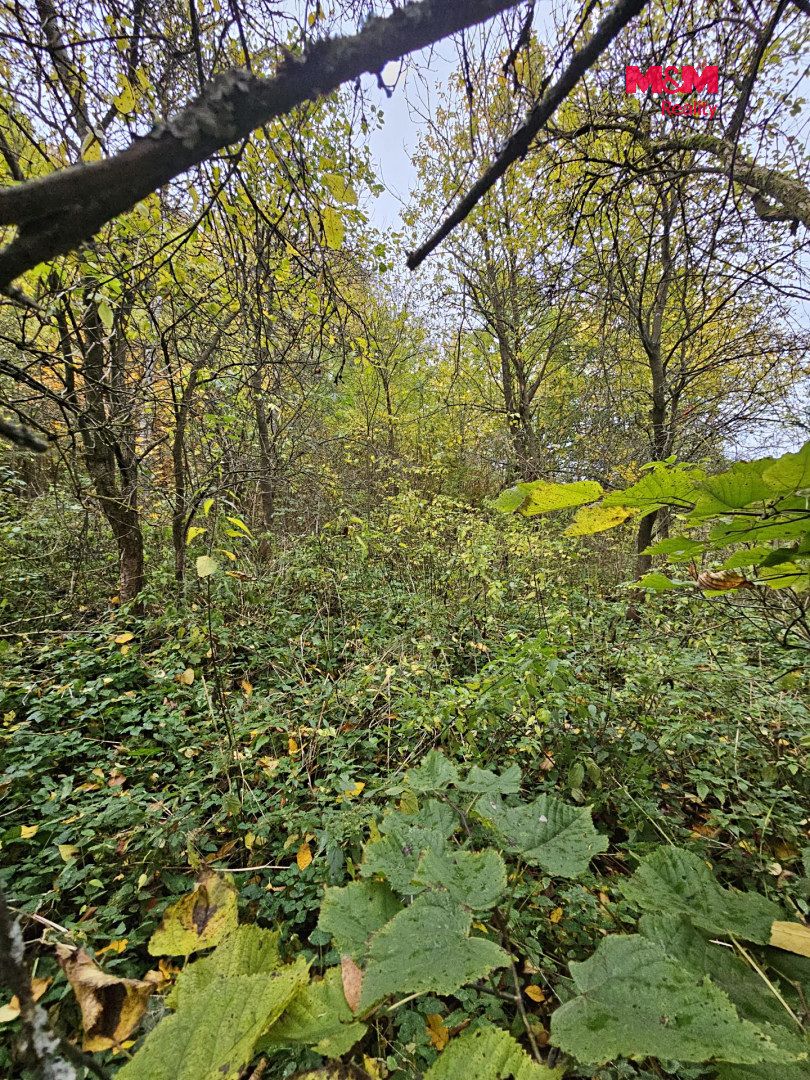 Prodej louky 1687 m² – fotografie 3