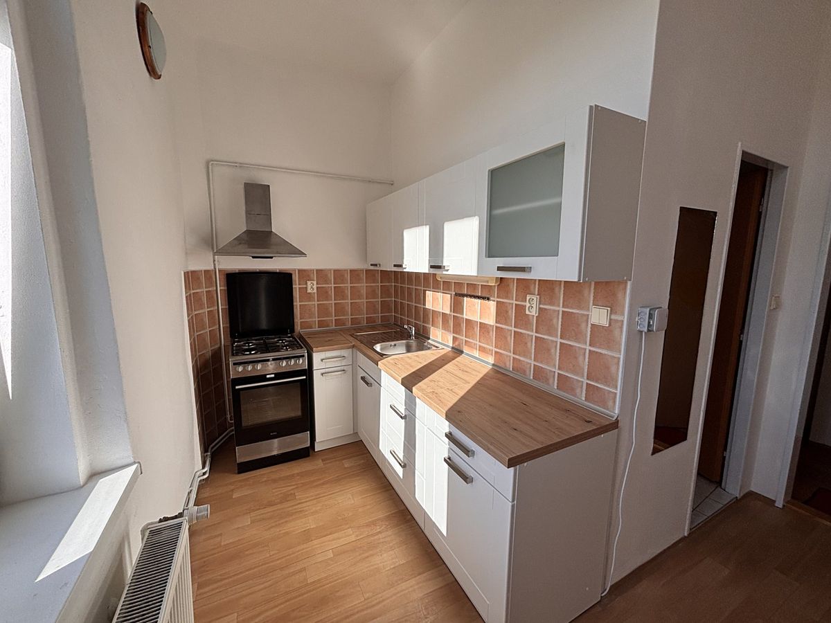Pronájem bytu 1+1 40 m²