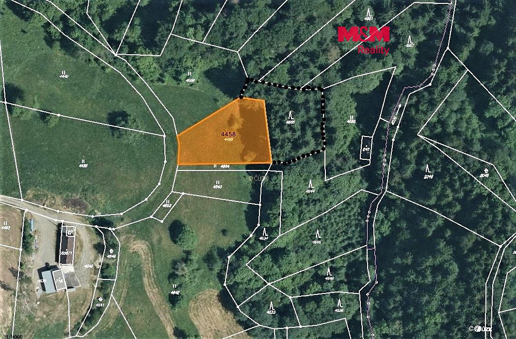 Prodej lesa 2693 m²