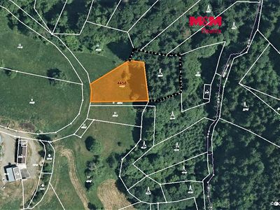 Prodej lesa 2693 m²