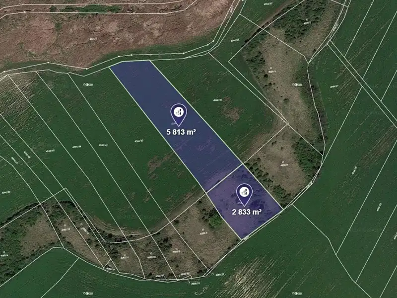 Prodej pole 8646 m², Čejkovice – náhled fotky 1