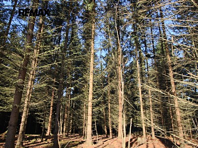 Grundstück zum Kauf, 33.347 m² (2 von 10)