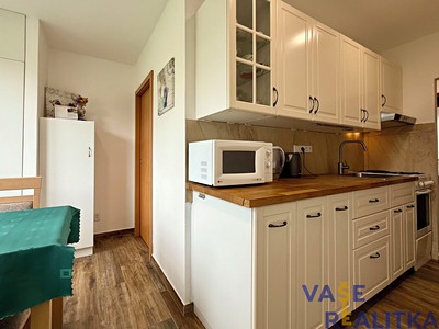 Pronájem bytu 1+1 36 m²