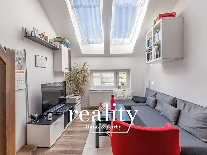 Prodej bytu 2+kk, 41,3 m², Brno–Husovice