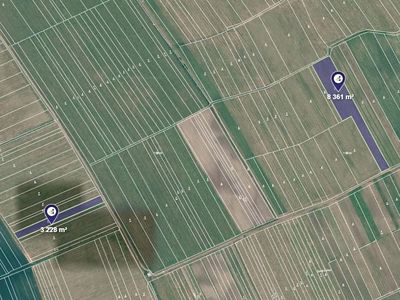 Prodej sadu, vinice 11589 m²