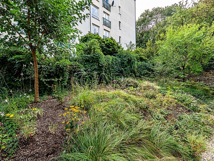 Gewerbefläche zur Miete, 240 m² (26 von 40)