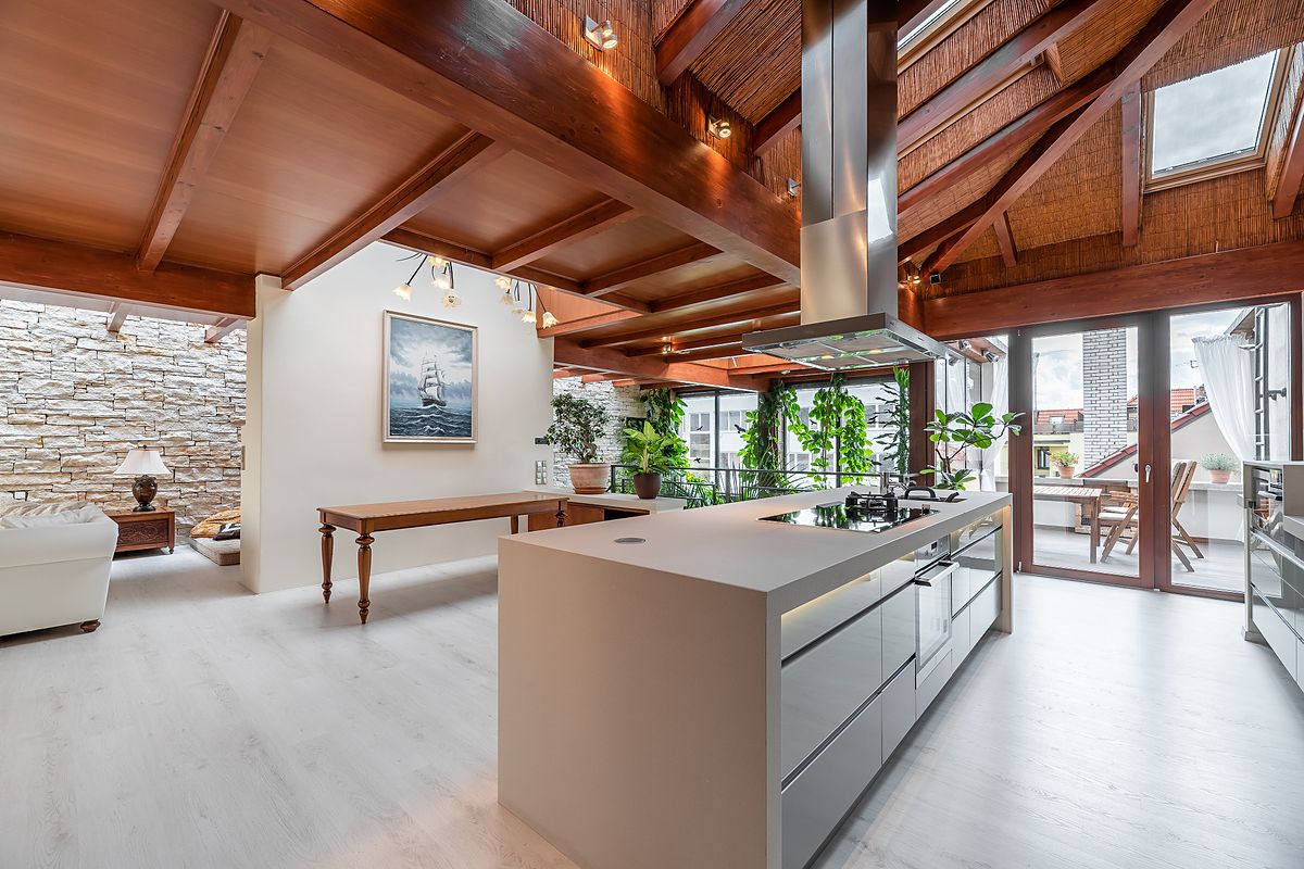 Pronájem bytu atypický 257 m² – fotografie 2