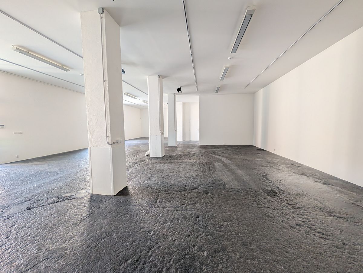 Pronájem komerční nemovitosti 207 m² – fotografie 3