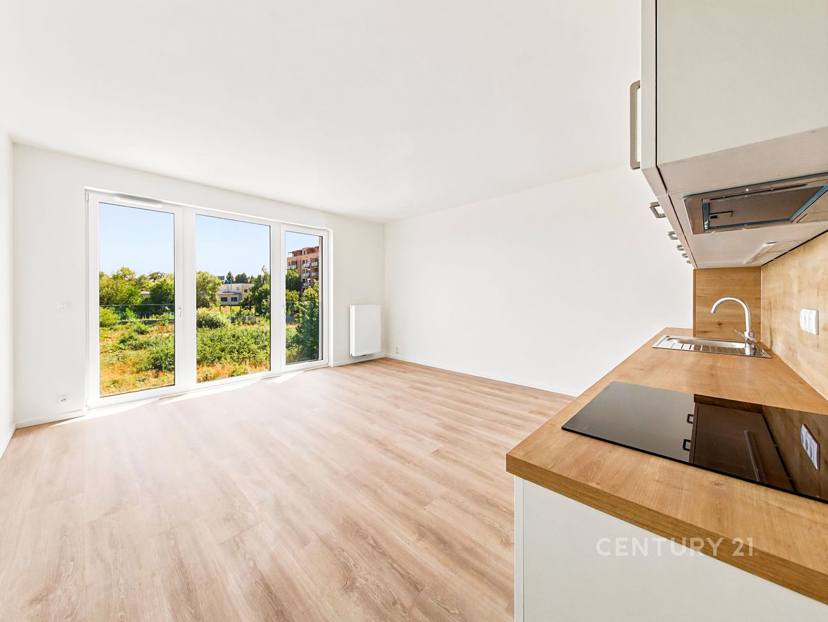 Pronájem bytu 2+kk 54 m²