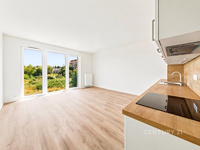 Pronájem bytu 2+kk 54 m²
