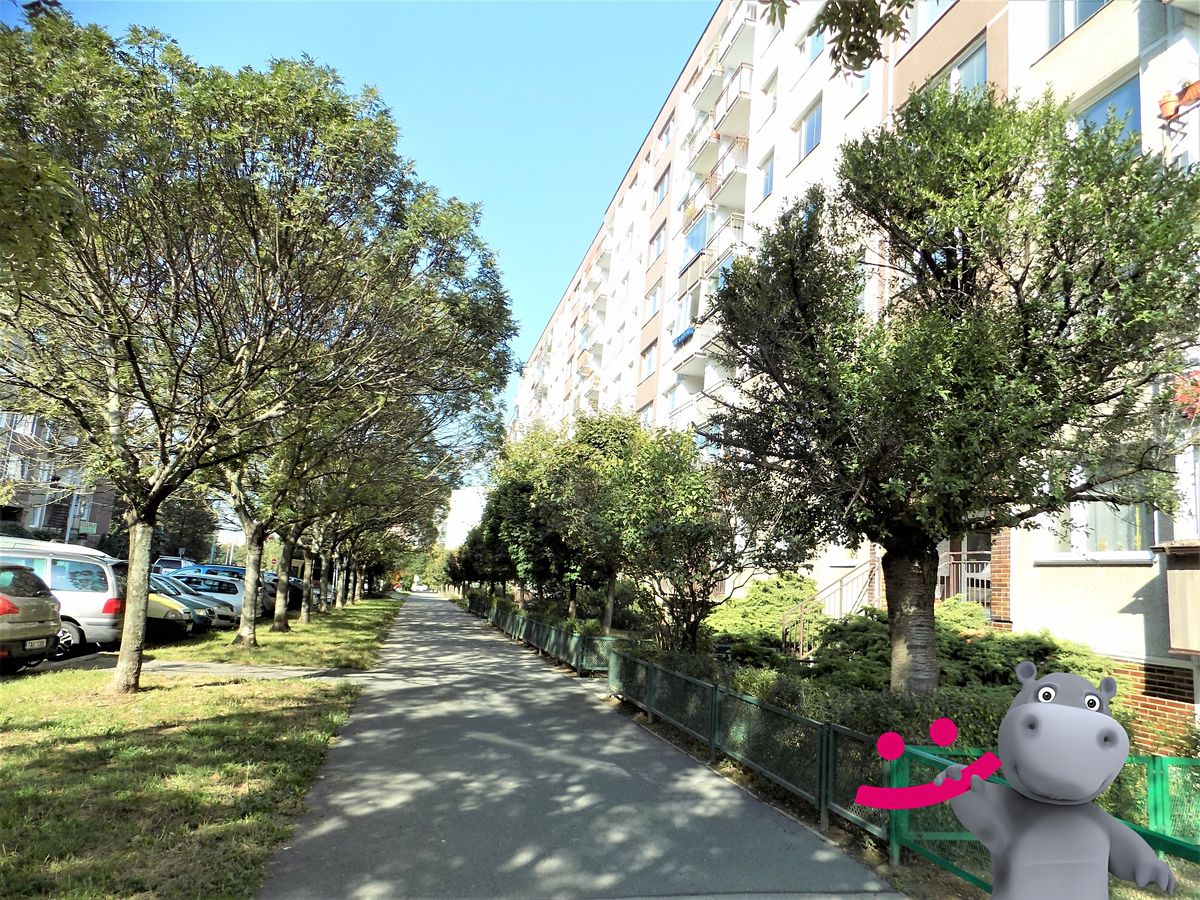 Pronájem bytu 3+1 68 m²