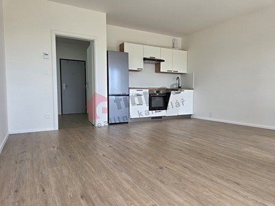 Pronájem bytu 1+kk 40 m²