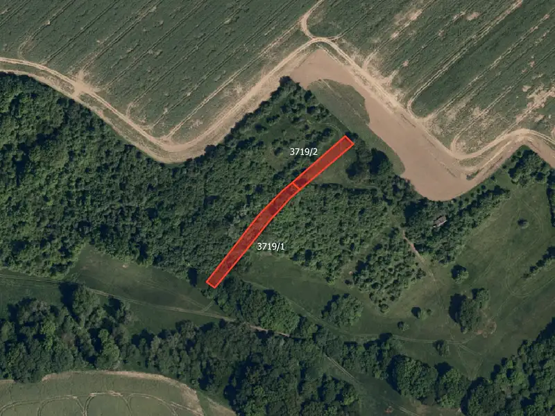 Prodej pole 6808 m², Mistřice – náhled fotky 2