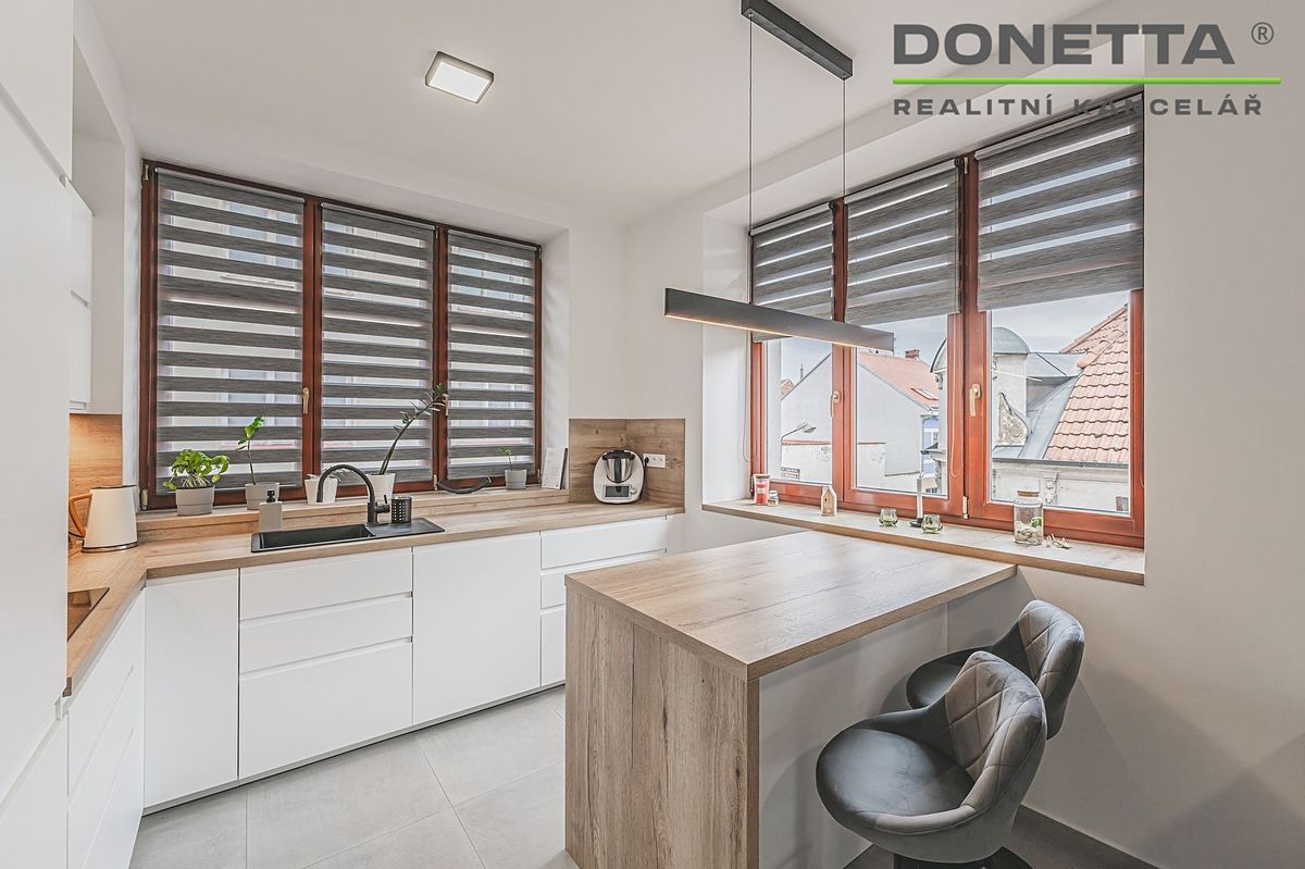 Pronájem bytu 1+kk 48 m²