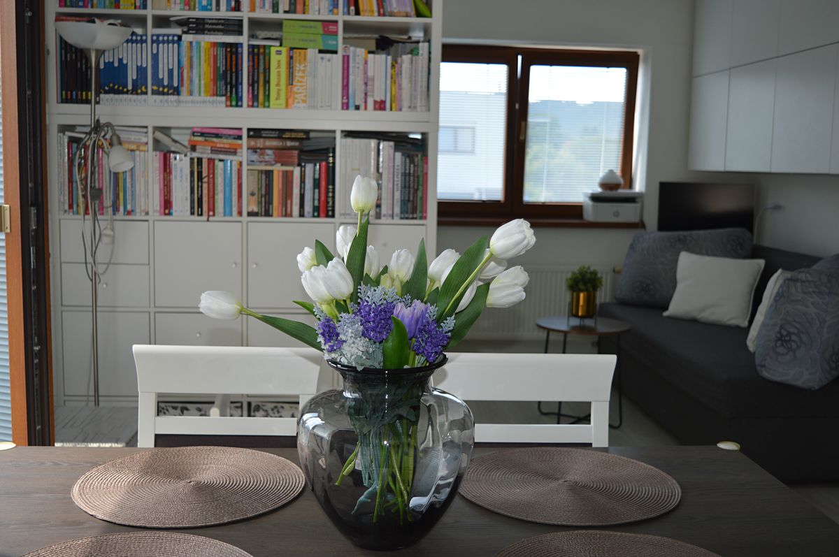 Prodej bytu 2+kk 54 m² – fotografie 3