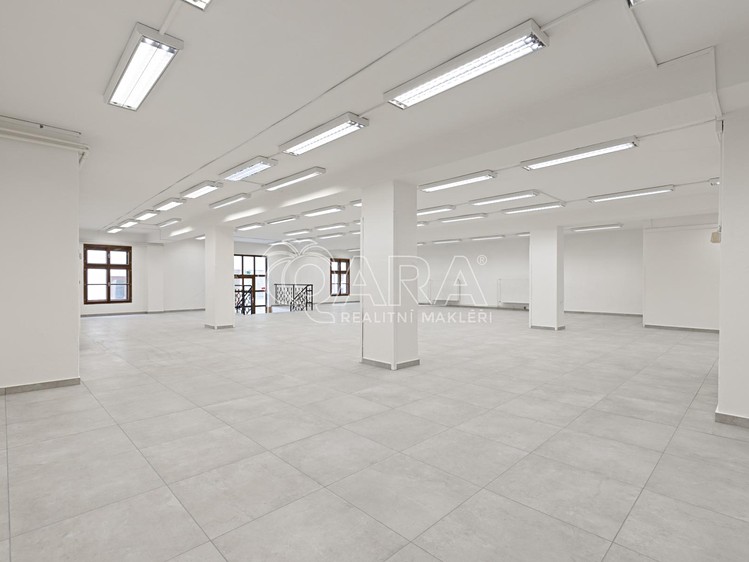 Gewerbefläche zur Miete, 470 m² (14 von 16)