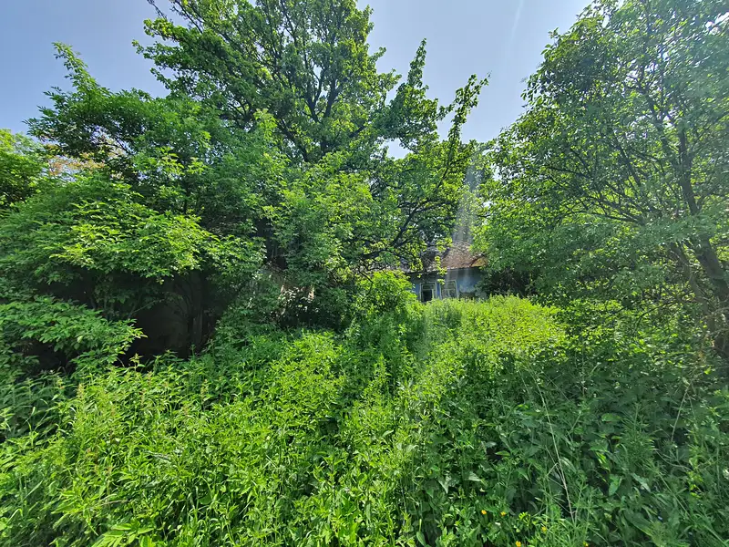 Prodej rodinného domu 80 m², pozemek 12265 m², Lopeník – náhled fotky 3