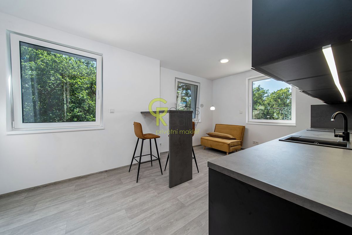 Prodej bytu 2+kk 57 m², Skorkov – fotka 1 z 3