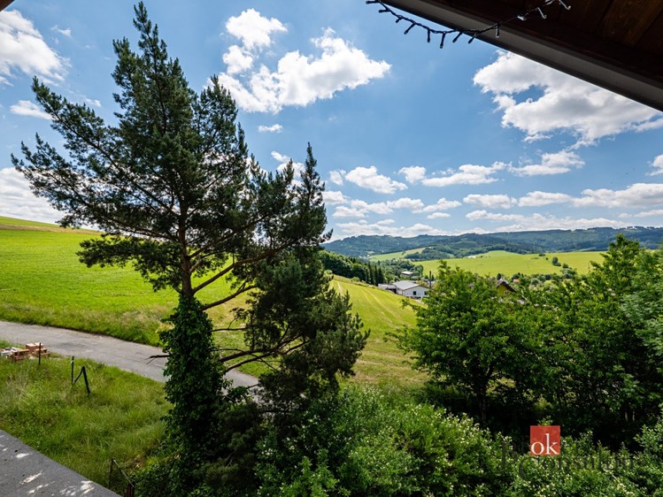 Haus zum Kauf, 256 m² (50 von 50)